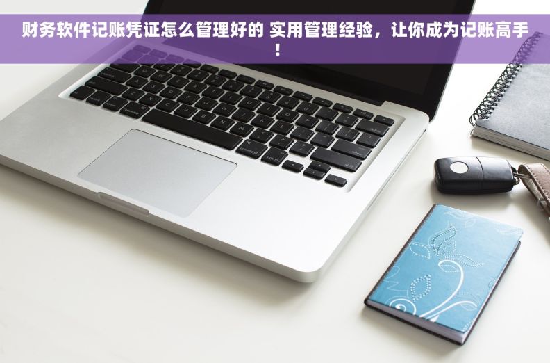 财务软件记账凭证怎么管理好的 实用管理经验，让你成为记账高手！