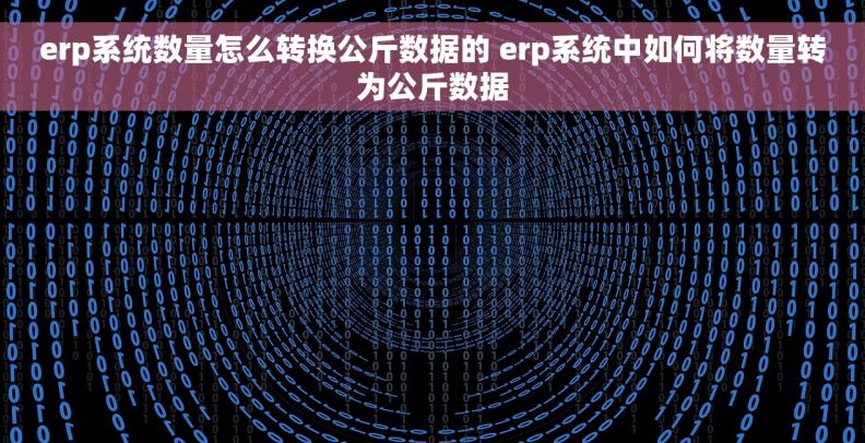 erp系统数量怎么转换公斤数据的 erp系统中如何将数量转为公斤数据