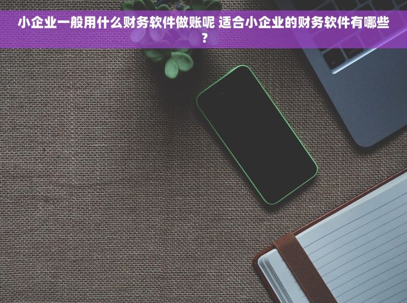 小企业一般用什么财务软件做账呢 适合小企业的财务软件有哪些？