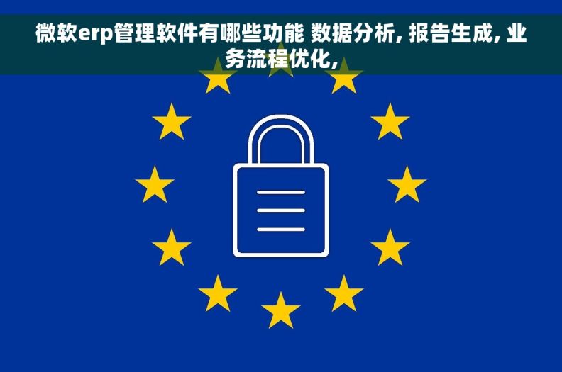 微软erp管理软件有哪些功能 数据分析, 报告生成, 业务流程优化,