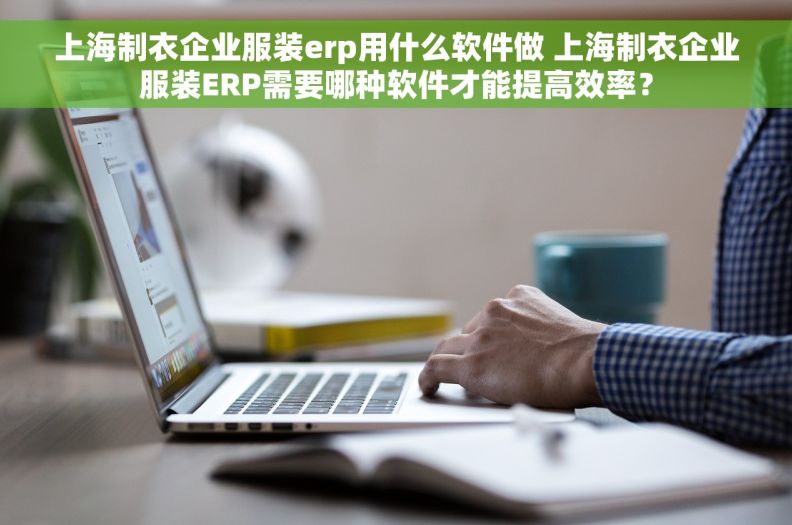 上海制衣企业服装erp用什么软件做 上海制衣企业服装ERP需要哪种软件才能提高效率？