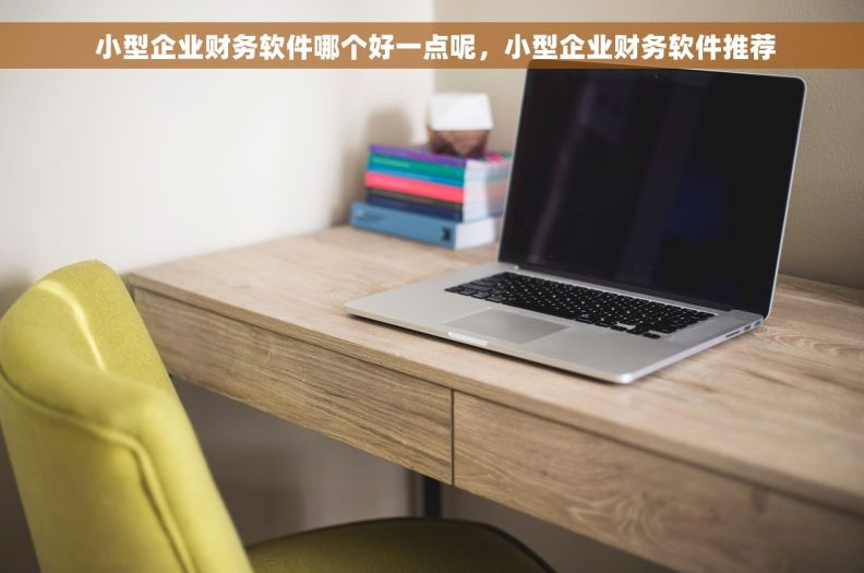  小型企业财务软件哪个好一点呢，小型企业财务软件推荐