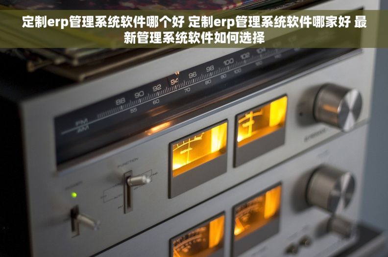 定制erp管理系统软件哪个好 定制erp管理系统软件哪家好 最新管理系统软件如何选择