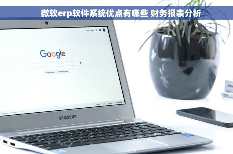     微软erp软件系统优点有哪些 财务报表分析