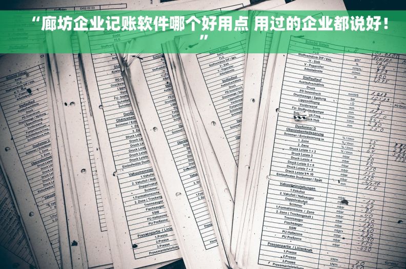 “廊坊企业记账软件哪个好用点 用过的企业都说好！”