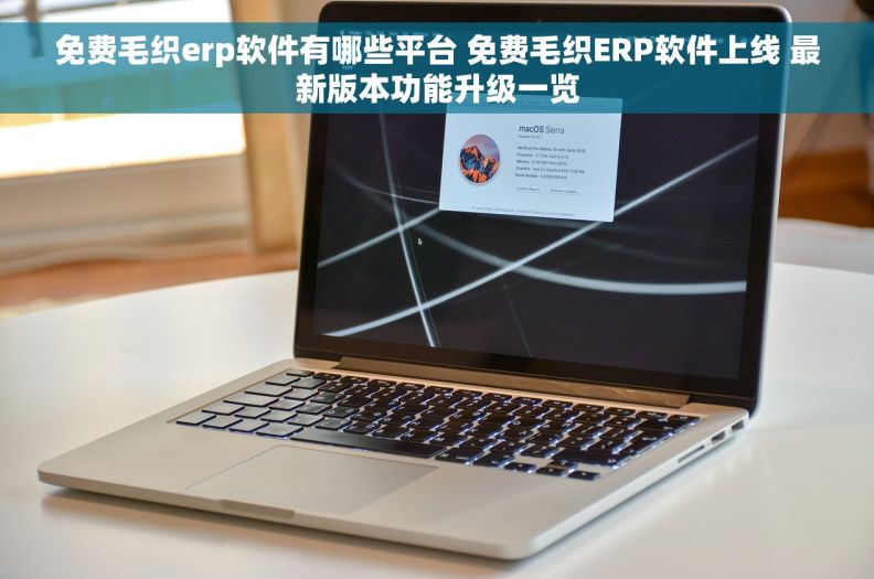 免费毛织erp软件有哪些平台 免费毛织ERP软件上线 最新版本功能升级一览