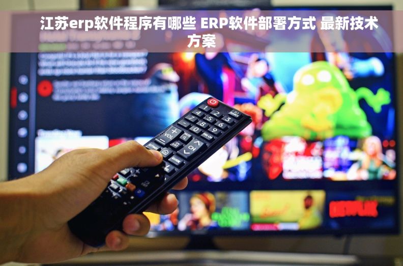     江苏erp软件程序有哪些 ERP软件部署方式 最新技术方案