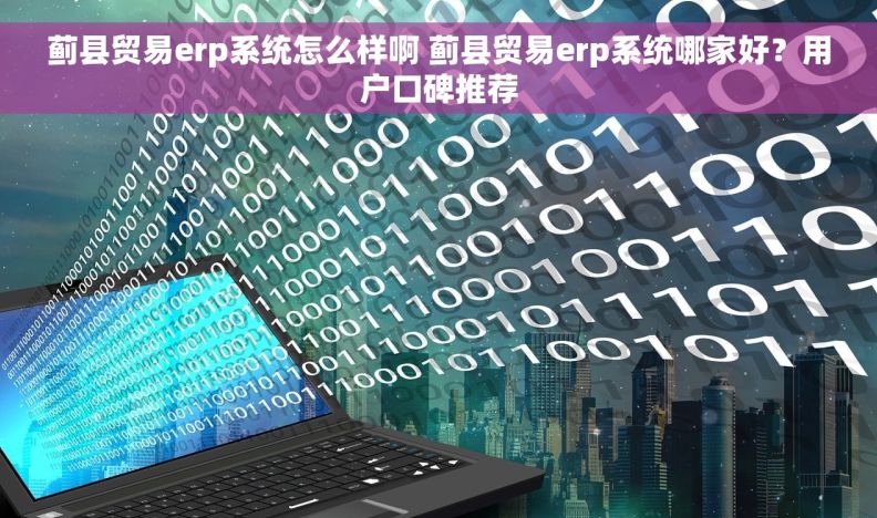 蓟县贸易erp系统怎么样啊 蓟县贸易erp系统哪家好？用户口碑推荐