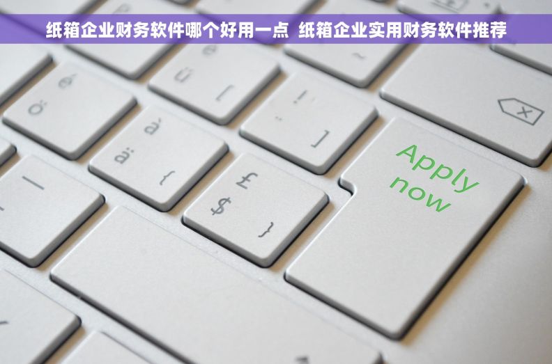 纸箱企业财务软件哪个好用一点  纸箱企业实用财务软件推荐