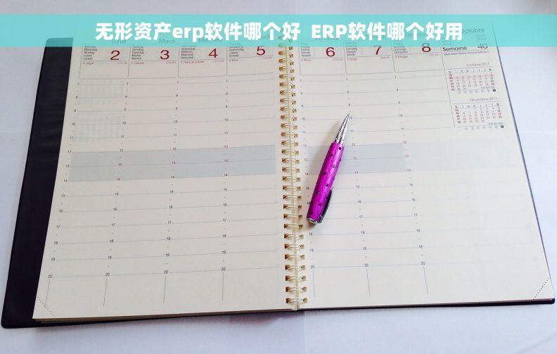 无形资产erp软件哪个好  ERP软件哪个好用