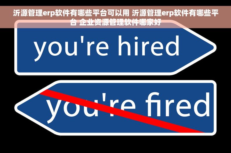 沂源管理erp软件有哪些平台可以用 	沂源管理erp软件有哪些平台 企业资源管理软件哪家好