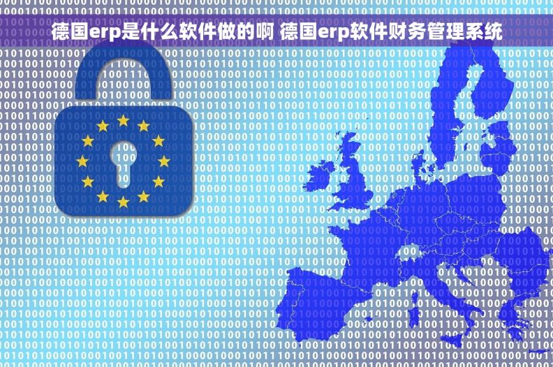 德国erp是什么软件做的啊 德国erp软件财务管理系统