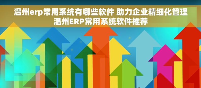 温州erp常用系统有哪些软件 助力企业精细化管理温州ERP常用系统软件推荐