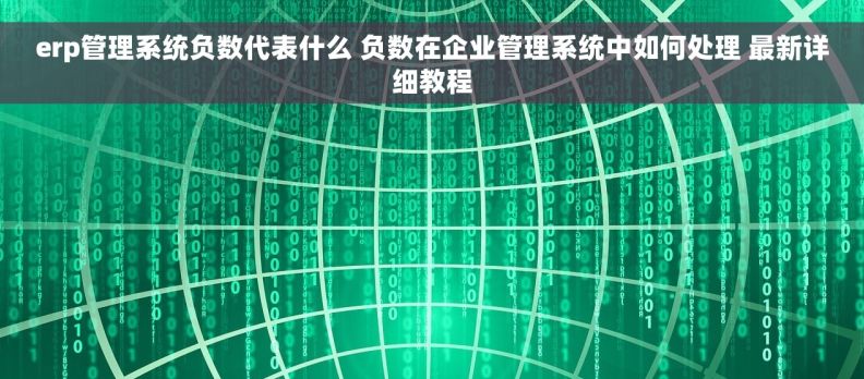 erp管理系统负数代表什么 负数在企业管理系统中如何处理 最新详细教程