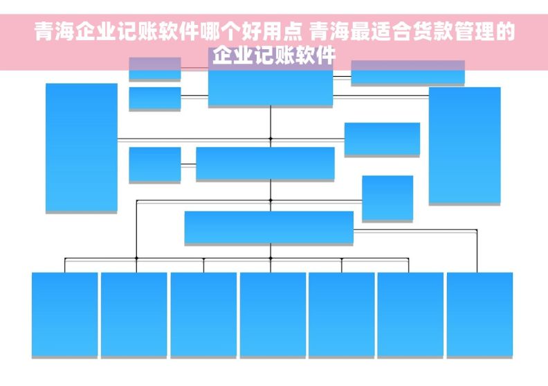 青海企业记账软件哪个好用点 青海最适合货款管理的企业记账软件