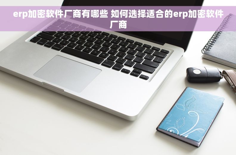 erp加密软件厂商有哪些 如何选择适合的erp加密软件厂商