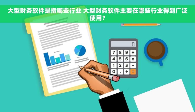 大型财务软件是指哪些行业 大型财务软件主要在哪些行业得到广泛使用？