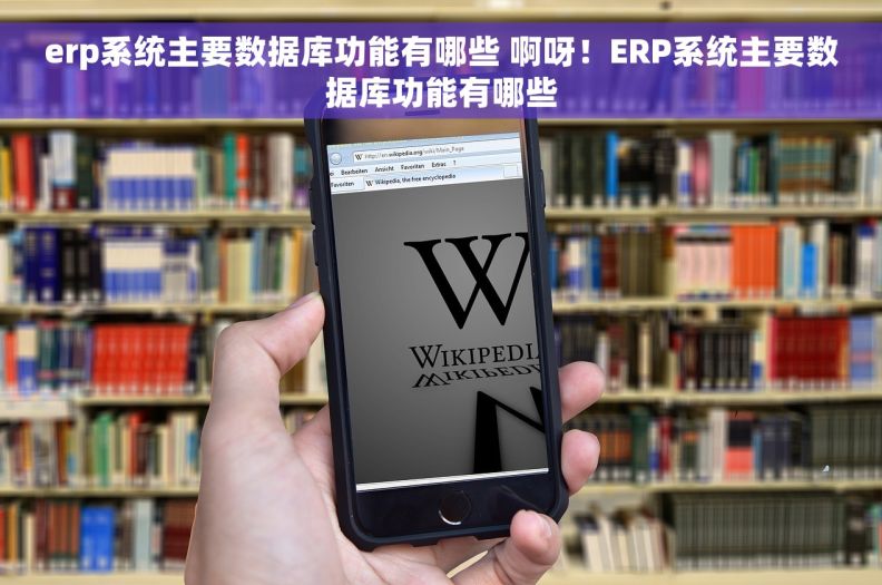 erp系统主要数据库功能有哪些 啊呀！ERP系统主要数据库功能有哪些