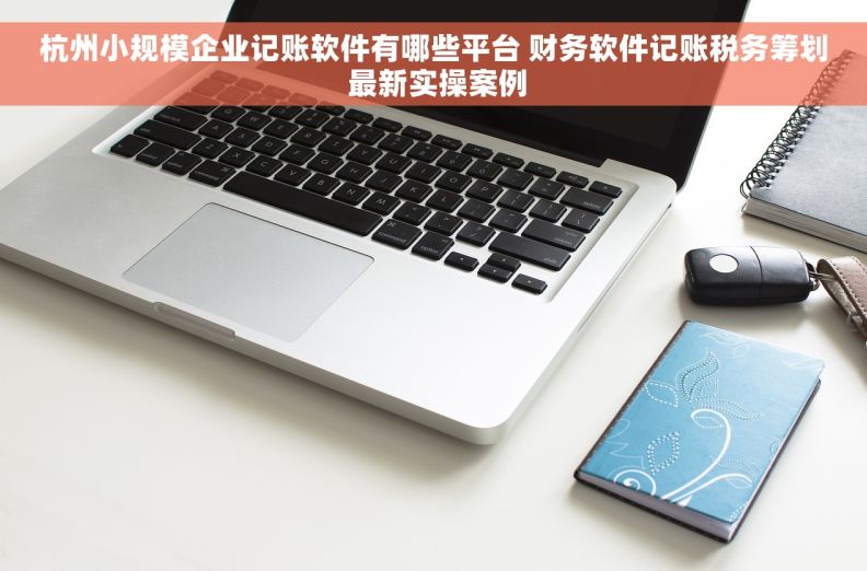 杭州小规模企业记账软件有哪些平台 财务软件记账税务筹划 最新实操案例