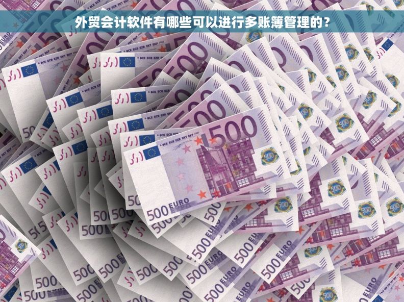 外贸会计软件有哪些可以进行多账簿管理的？