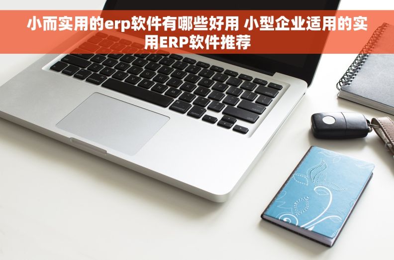 小而实用的erp软件有哪些好用 小型企业适用的实用ERP软件推荐