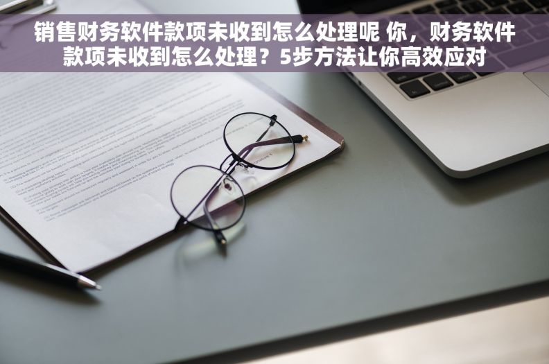 销售财务软件款项未收到怎么处理呢 你，财务软件款项未收到怎么处理？5步方法让你高效应对