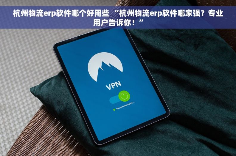 杭州物流erp软件哪个好用些 “杭州物流erp软件哪家强？专业用户告诉你！”