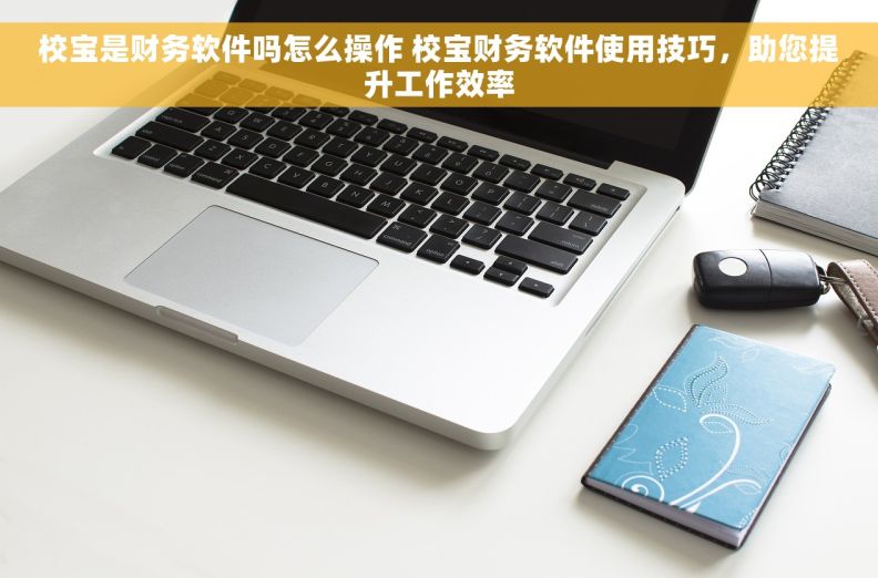 校宝是财务软件吗怎么操作 校宝财务软件使用技巧，助您提升工作效率