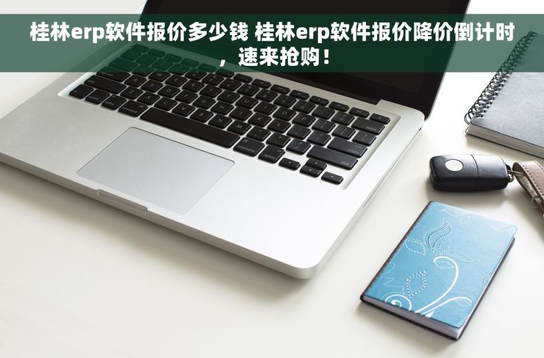 桂林erp软件报价多少钱 桂林erp软件报价降价倒计时，速来抢购！