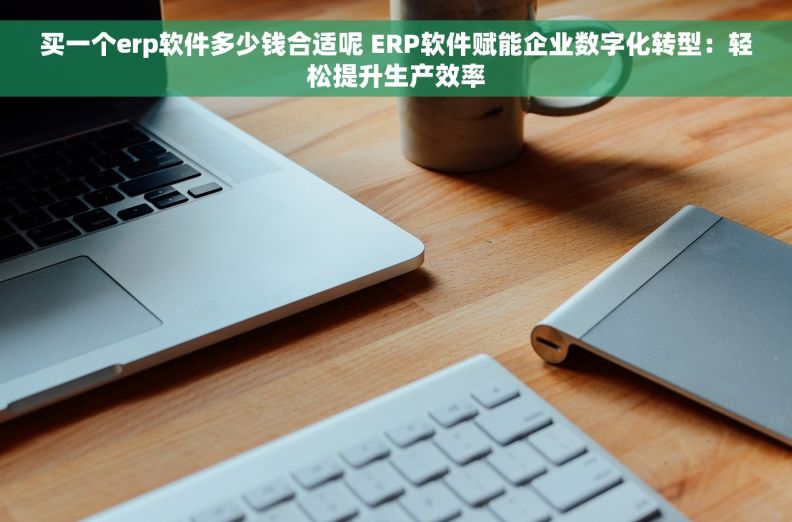 买一个erp软件多少钱合适呢 ERP软件赋能企业数字化转型：轻松提升生产效率