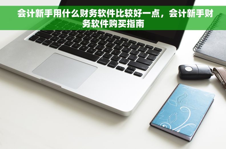   会计新手用什么财务软件比较好一点，会计新手财务软件购买指南