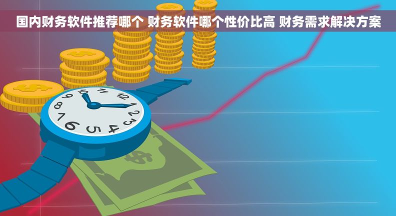 国内财务软件推荐哪个 财务软件哪个性价比高 财务需求解决方案