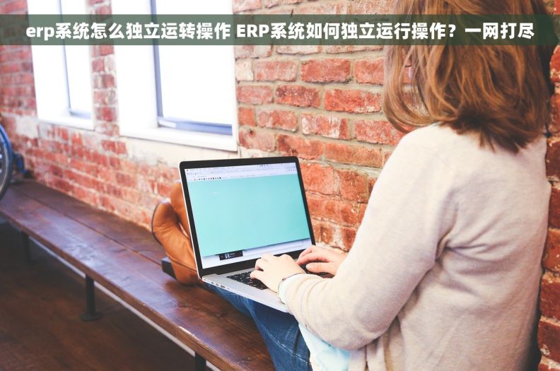 erp系统怎么独立运转操作 ERP系统如何独立运行操作？一网打尽