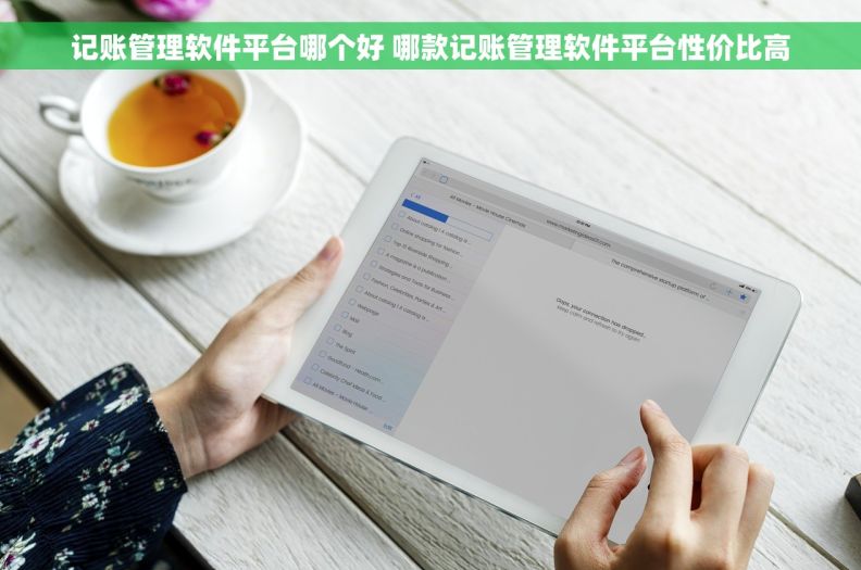 记账管理软件平台哪个好 哪款记账管理软件平台性价比高