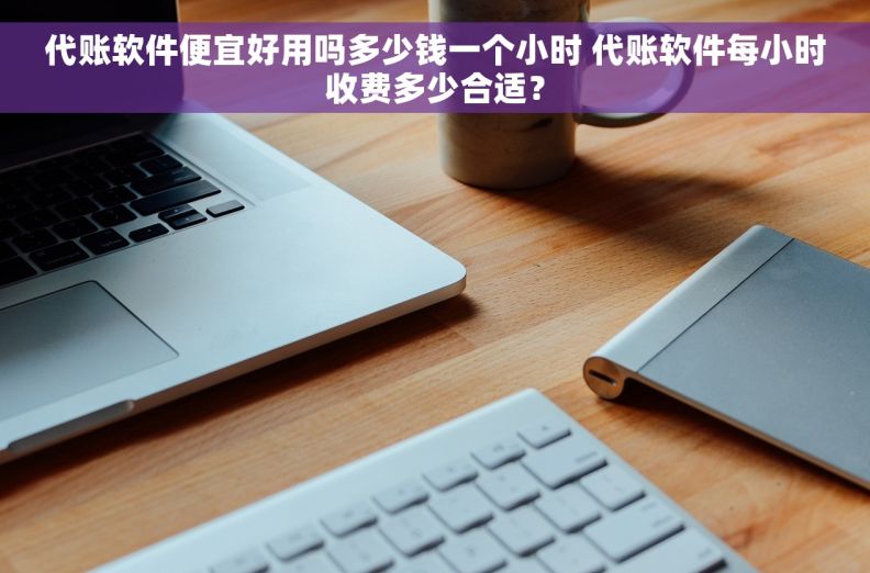 代账软件便宜好用吗多少钱一个小时 代账软件每小时收费多少合适？