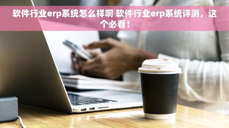 软件行业erp系统怎么样啊 软件行业erp系统评测，这个必看！