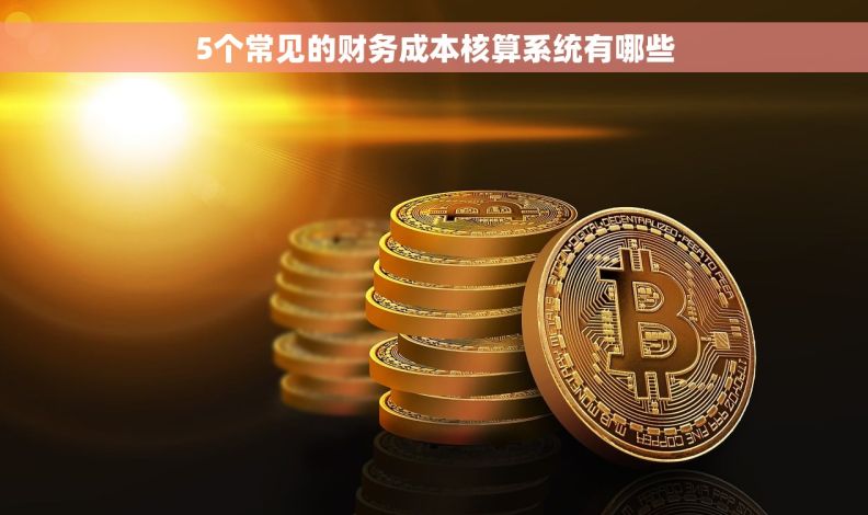 5个常见的财务成本核算系统有哪些