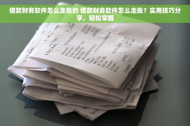 借款财务软件怎么走账的 借款财务软件怎么走账？实用技巧分享，轻松掌握