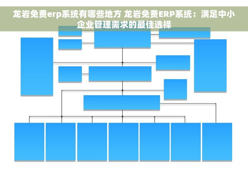 龙岩免费erp系统有哪些地方 龙岩免费ERP系统：满足中小企业管理需求的最佳选择