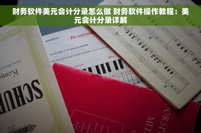 财务软件美元会计分录怎么做 财务软件操作教程：美元会计分录详解