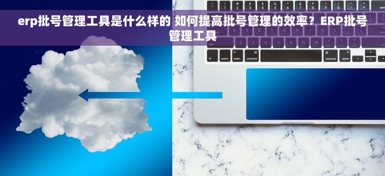 erp批号管理工具是什么样的 如何提高批号管理的效率？ERP批号管理工具