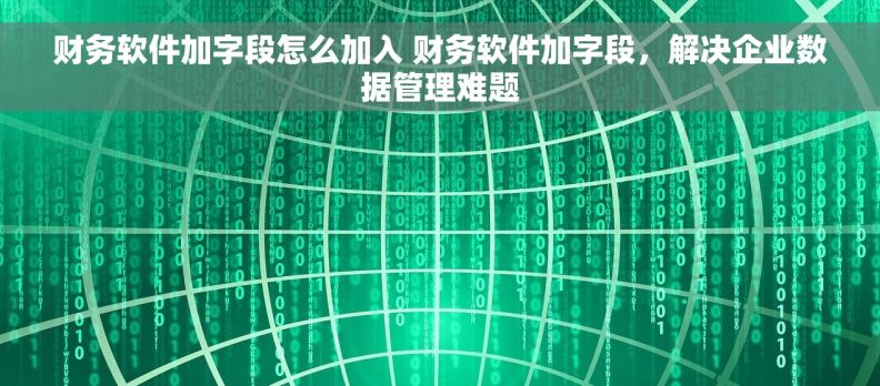 财务软件加字段怎么加入 财务软件加字段，解决企业数据管理难题