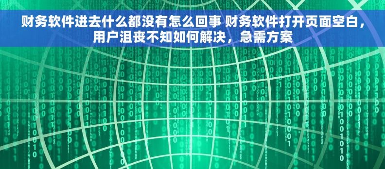 财务软件进去什么都没有怎么回事 财务软件打开页面空白，用户沮丧不知如何解决，急需方案