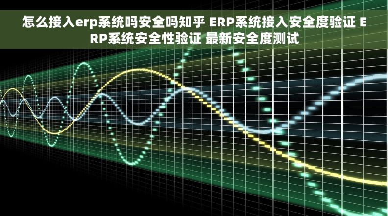 怎么接入erp系统吗安全吗知乎 ERP系统接入安全度验证 ERP系统安全性验证 最新安全度测试