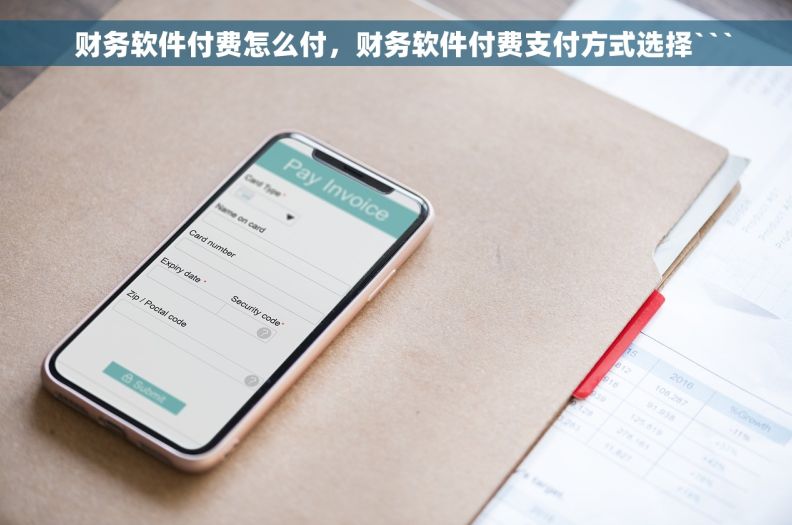   财务软件付费怎么付，财务软件付费支付方式选择```
