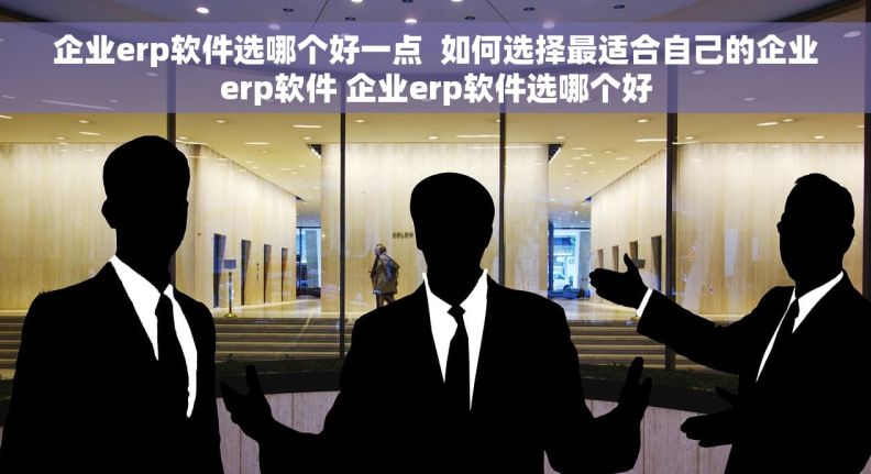 企业erp软件选哪个好一点  如何选择最适合自己的企业erp软件 企业erp软件选哪个好