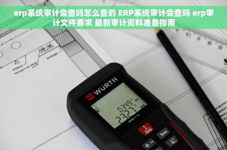 erp系统审计会查吗怎么查的 ERP系统审计会查吗 erp审计文件要求 最新审计资料准备指南