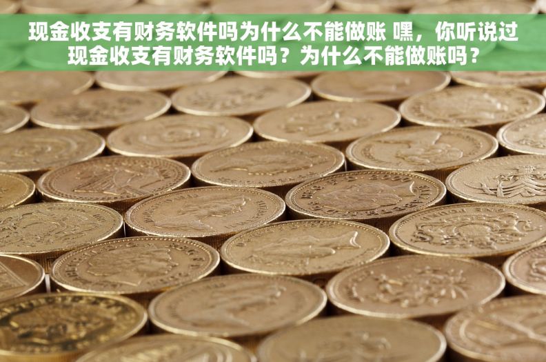 现金收支有财务软件吗为什么不能做账 嘿，你听说过现金收支有财务软件吗？为什么不能做账吗？