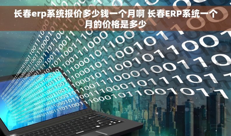 长春erp系统报价多少钱一个月啊 长春ERP系统一个月的价格是多少