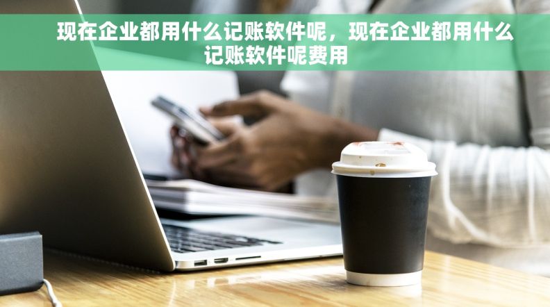     现在企业都用什么记账软件呢，现在企业都用什么记账软件呢费用